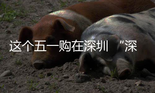 享生 畅促消动开购在活这个之约深圳深圳五一费活启